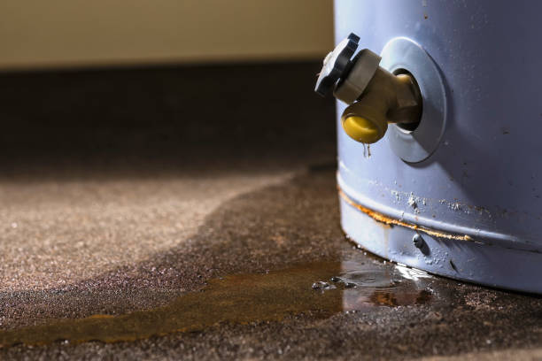Best Local water damage restoration  in Intercourse, PA