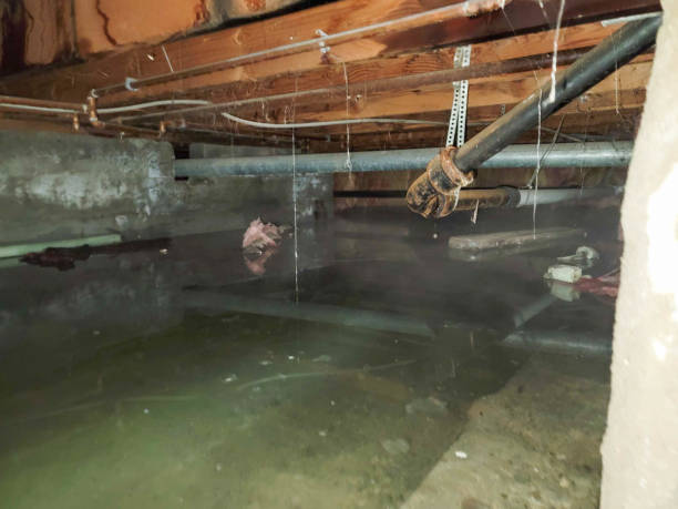 Best Water damage restoration near me  in Intercourse, PA