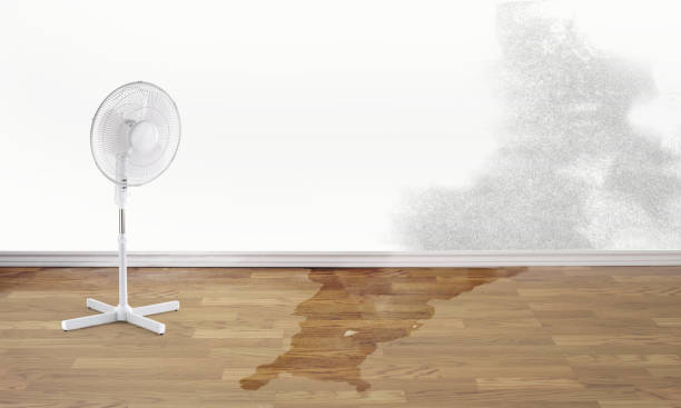 Best Residential water damage restoration  in Intercourse, PA