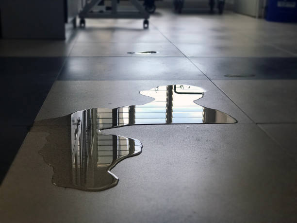 Best Water damage cleanup near me  in Intercourse, PA