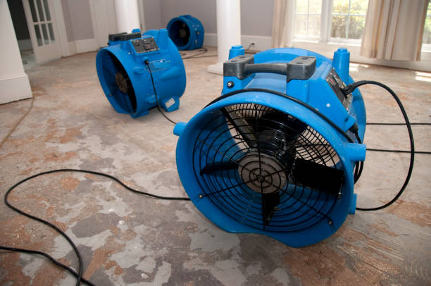 Best 24/7 water damage repair  in Intercourse, PA