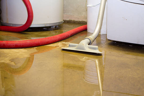 Best Water damage restoration near me  in Intercourse, PA