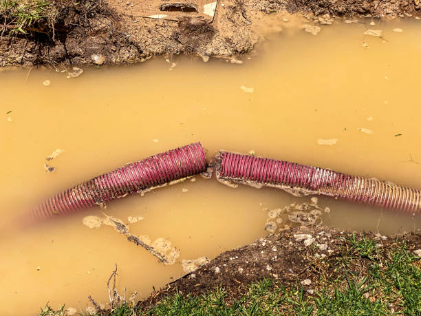 Best Sewage cleanup and water damage restoration  in Intercourse, PA