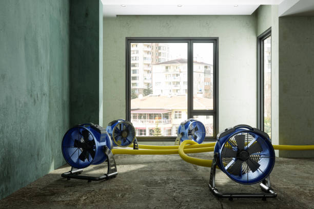 Best Flood damage cleanup  in Intercourse, PA